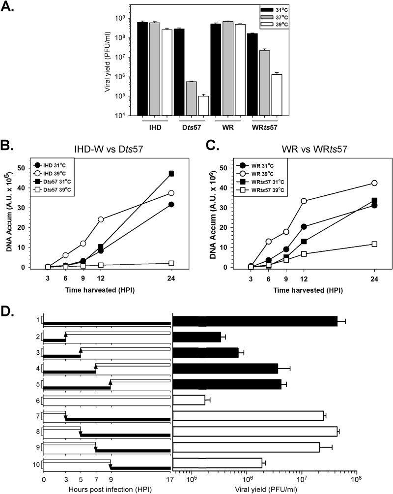 FIG 2