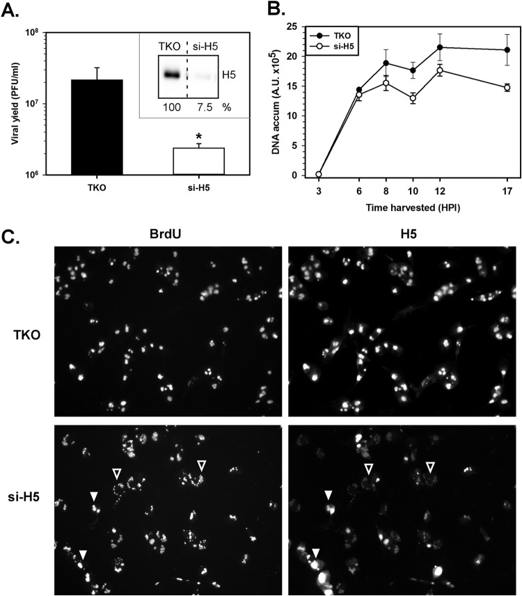 FIG 3