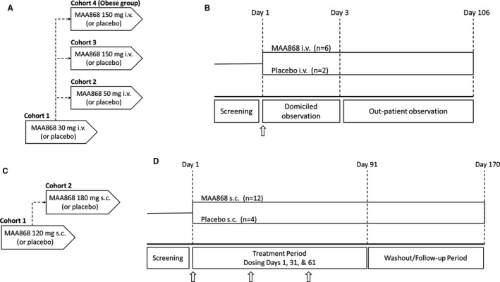 FIGURE 1