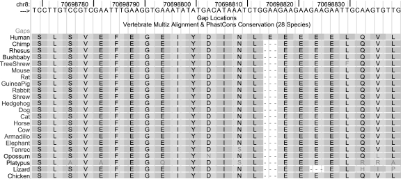 Figure 4.