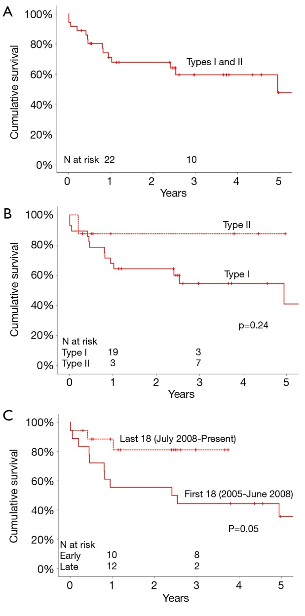 Type I And Type II Hybrid Aortic Arch Replacement Postoperative And