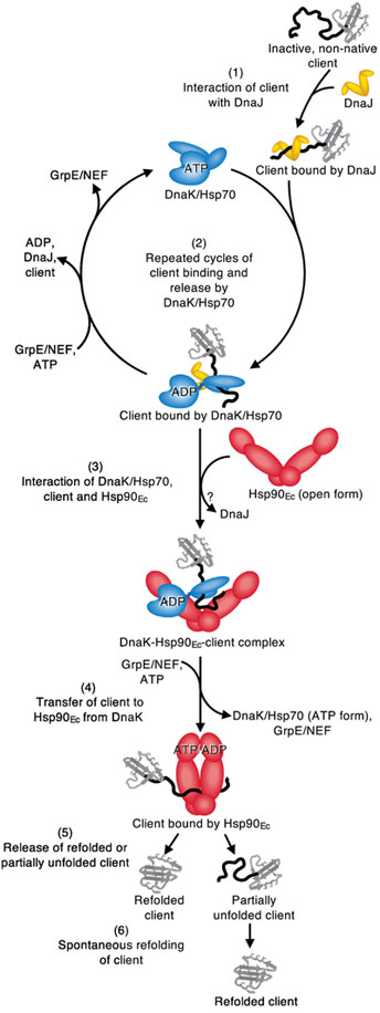 Fig. 7.