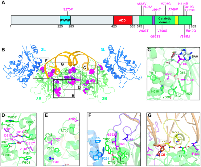 Figure 6.