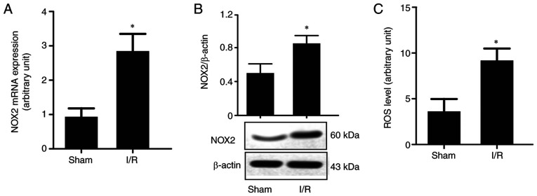 Figure 2.