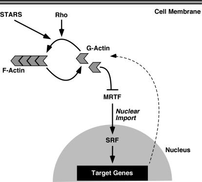 FIG. 8.