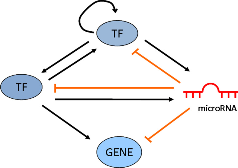 Fig. 1