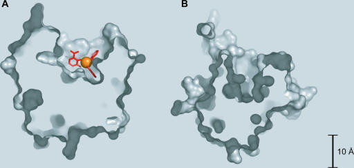 FIG. 7.