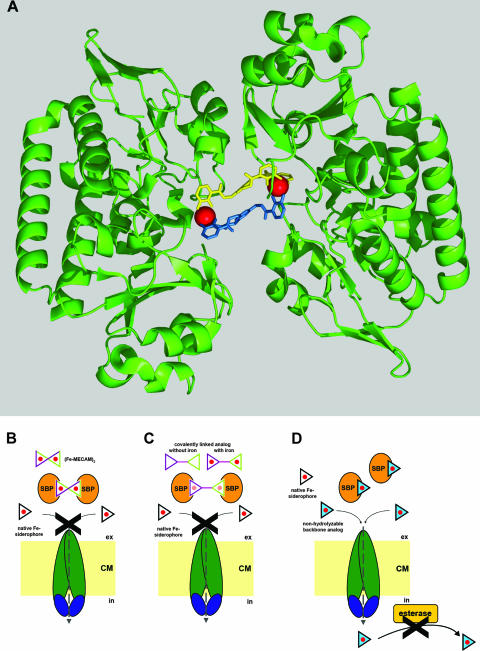 FIG. 10.