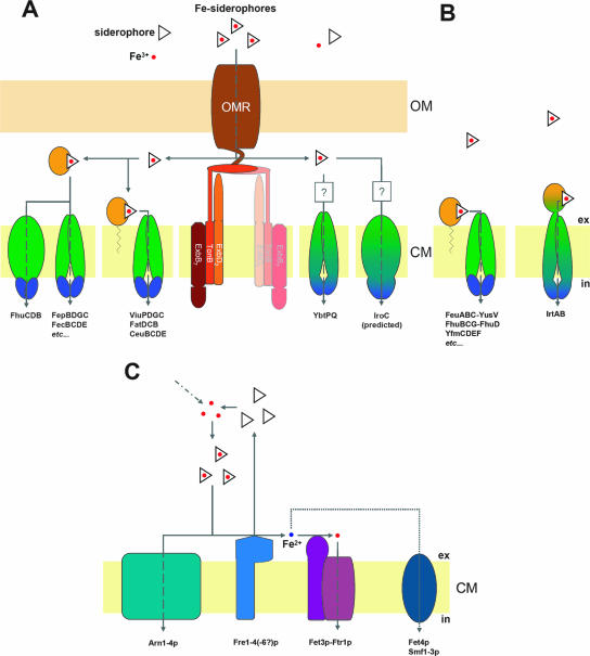 FIG. 4.