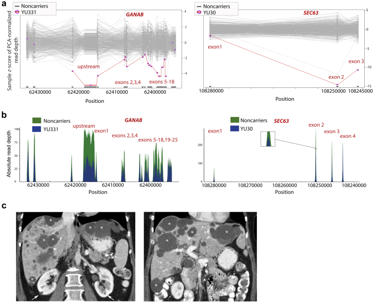 Figure 1