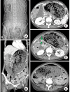 Fig. 8