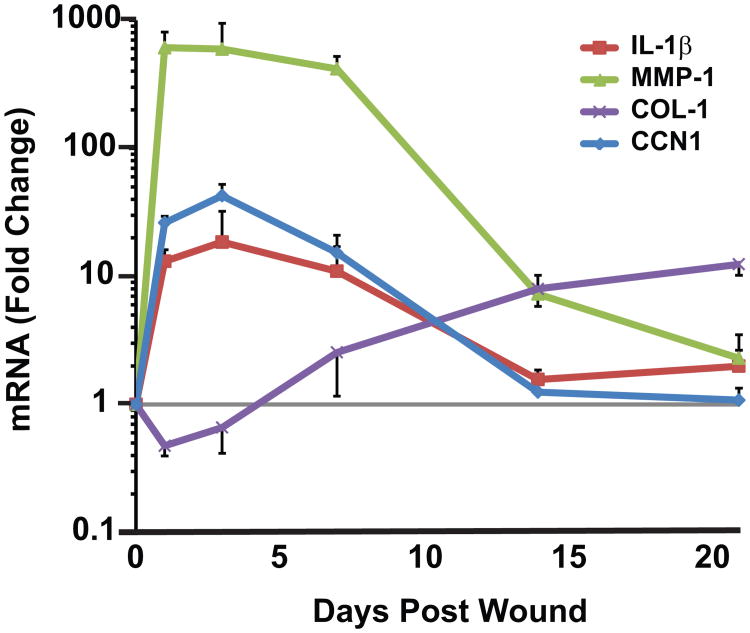 Fig. 3