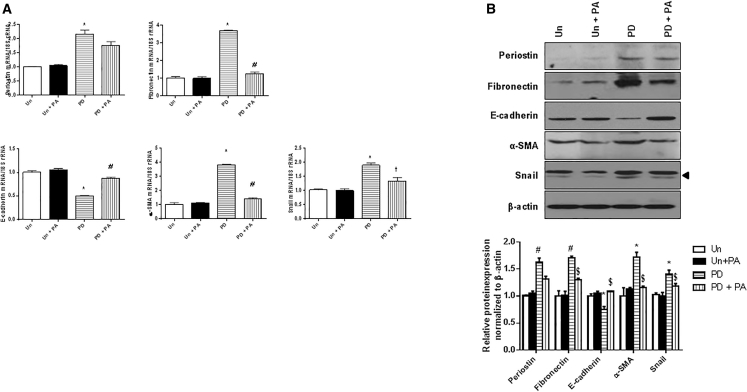 Figure 6