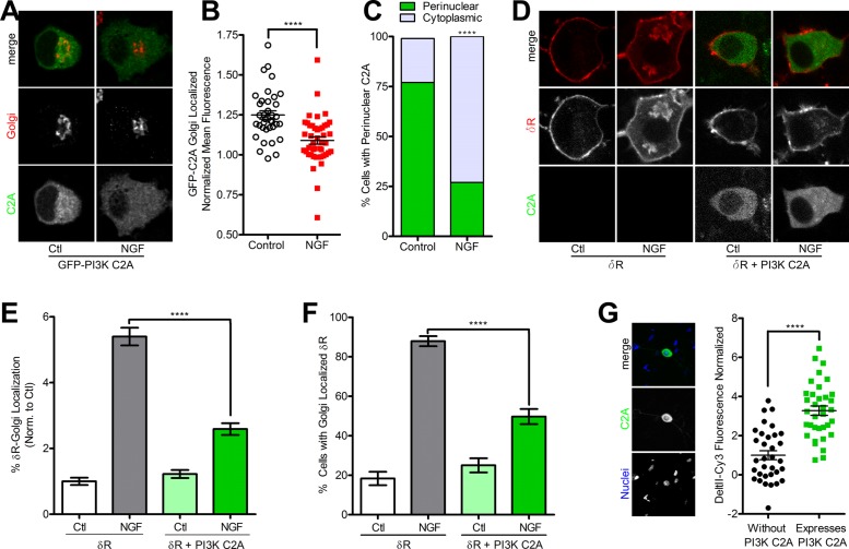 FIGURE 6: