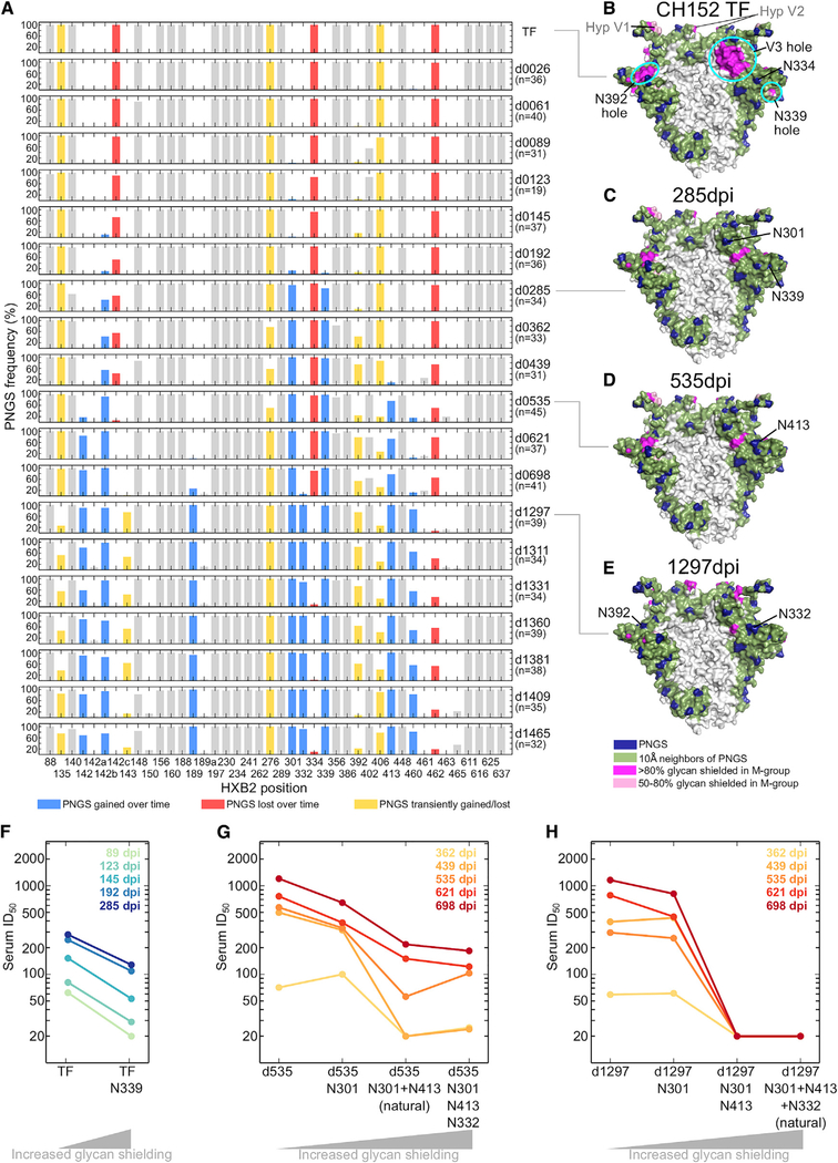 Completeness of HIV-1 Envelope Glycan Shield at Transmission Determines ...