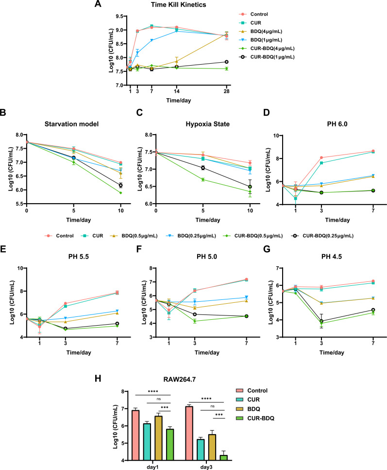 Time-kill curves under different conditions include growth kinetics, CFU reduction in starvation, hypoxia, and acidic pH (6.0–4.5), and CFU in RAW264.7 cells at days 1 and 3. CUR-BDQ depicts the strongest reduction across conditions.