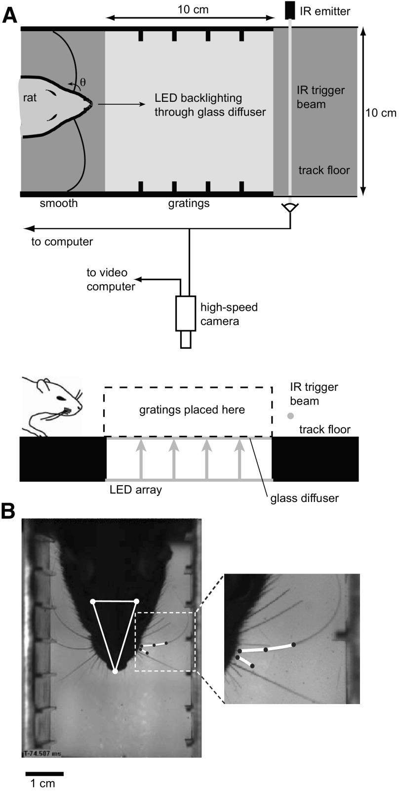 Fig. 1.