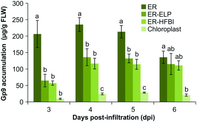 FIGURE 3