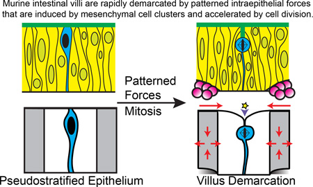 graphic file with name nihms807380f8.jpg