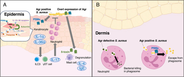 Fig. 3