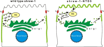 Figure 10.