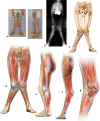 Fig. 1