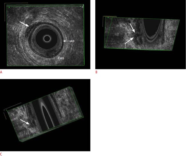 Fig. 10.