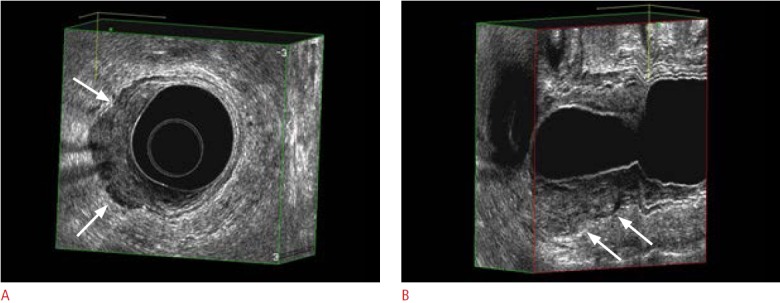 Fig. 8.