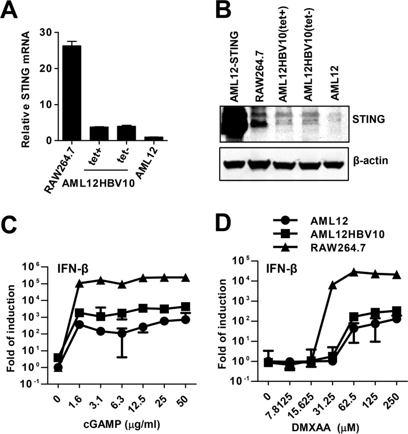 FIG 4