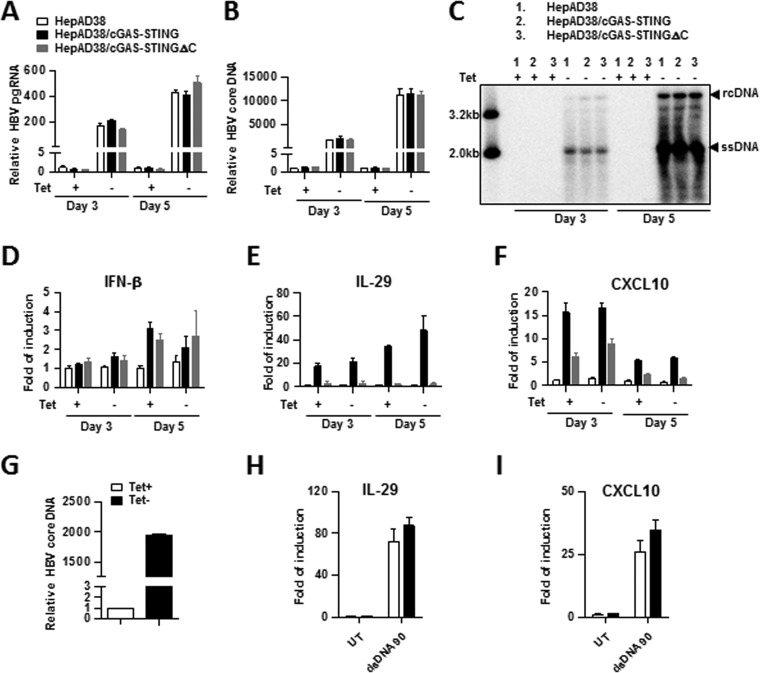 FIG 2