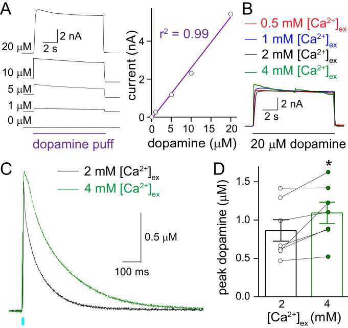 Figure 1—figure supplement 1.