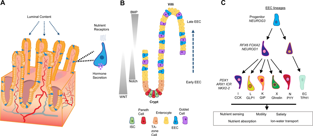 Figure 1: