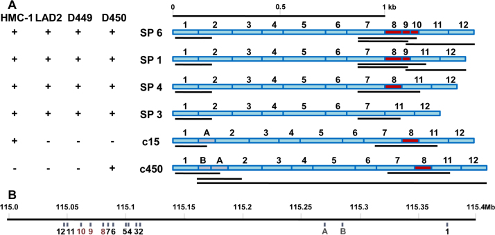 Fig. 2