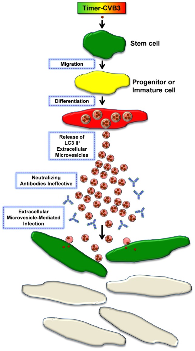 Figure 14