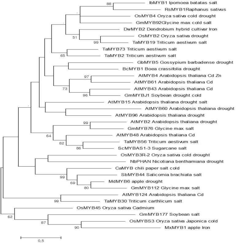 FIGURE 2