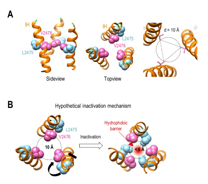 Figure 6.