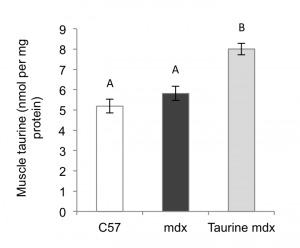 Data are presented as mean ± SEM and n= 8 mice/group. Groups without a common letter are significantly (p<0.05) different.