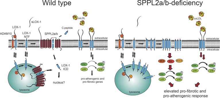 Figure 10.