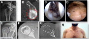 Fig 7