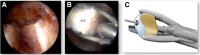 Fig 5