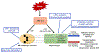 Figure 5: