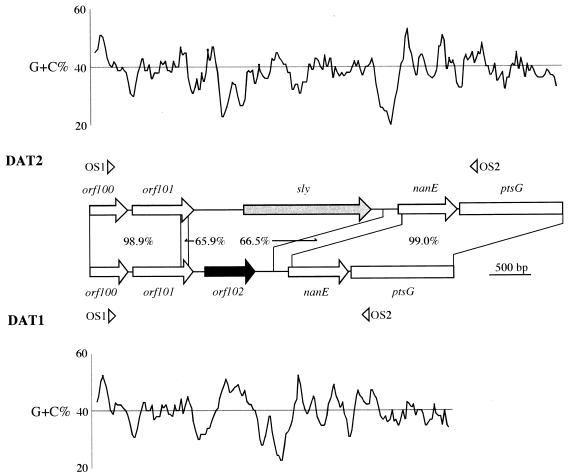 FIG. 1.