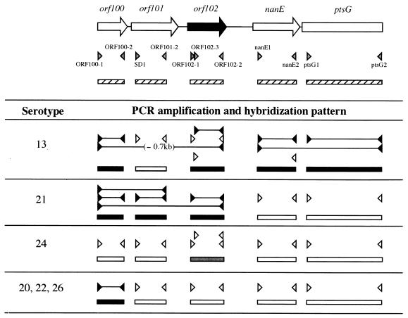 FIG. 3.