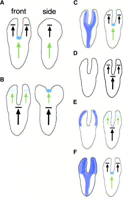 Figure 9.