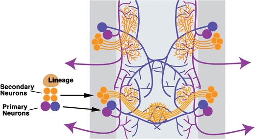 Fig. 3