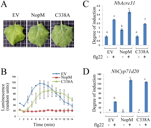 Figure 4