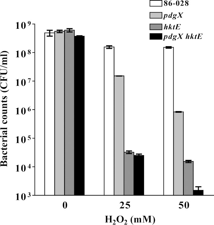 FIG 2