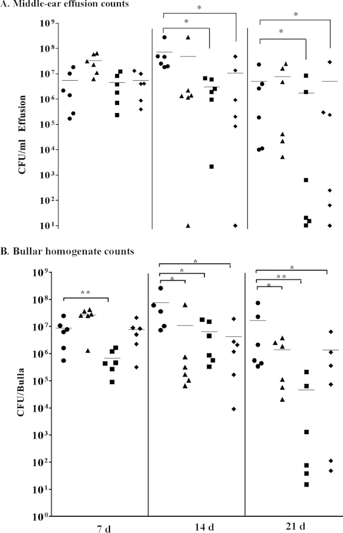 FIG 4