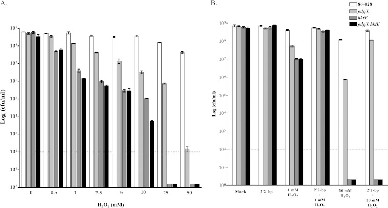 FIG 1