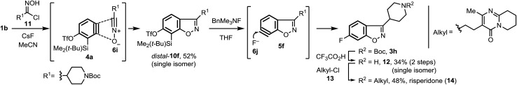 Scheme 4